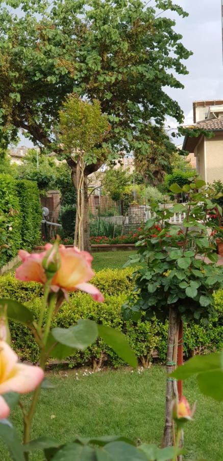 Vila La Casa Di Gigliola Monticiano Exteriér fotografie