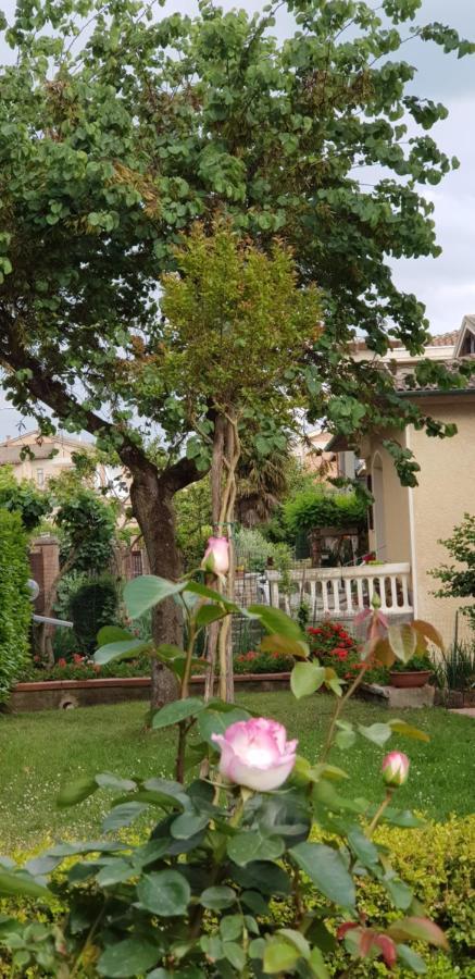 Vila La Casa Di Gigliola Monticiano Exteriér fotografie