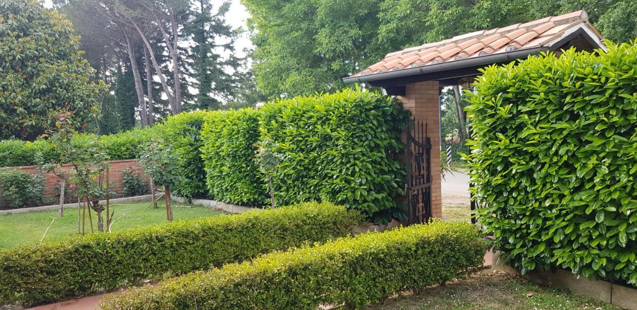 Vila La Casa Di Gigliola Monticiano Exteriér fotografie